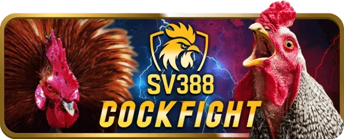 Trò chơi Live Casino với người chia bài trực tiếp tại mi88